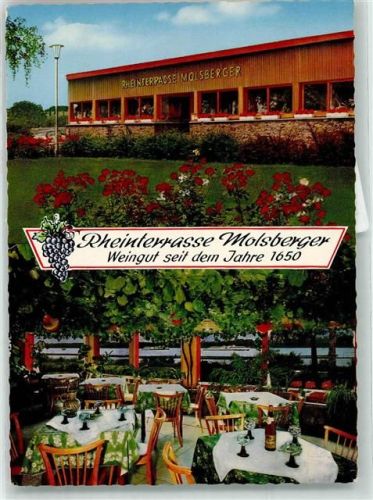 Oestrich-Winkel Gasthaus Rheinterrasse Molsberger Foto AK