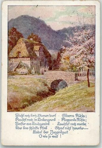 1930 Frühlingsidylle mit Wassermühle und steinerner Brücke Ostmark Bund deutscher Österreicher Karte Nr. 155