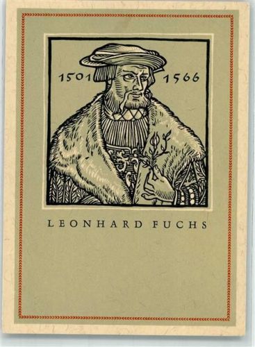 Ingolstadt Leonhard Fuchs Arzt 1501-1566 New Kreutter Buch Pflanzenabbildungen