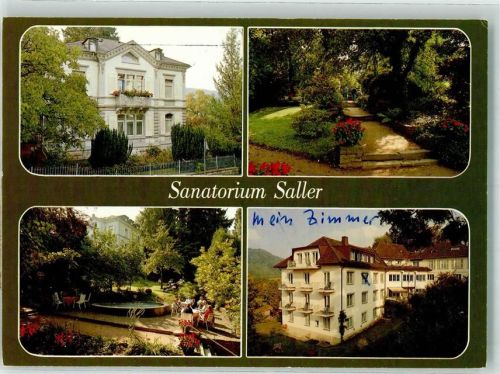 Badenweiler Sanatorium Saller Blumen Garten Teich