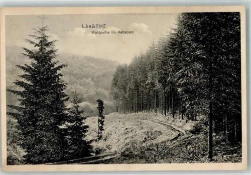 Bad Laasphe 1911 Im Kalteborn