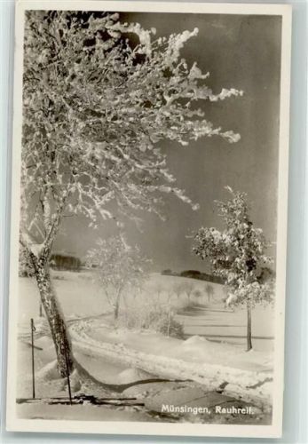 Münsingen Winter