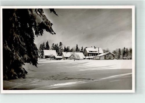 Zwieselberg Gasthaus Pension Auerhahn Winter