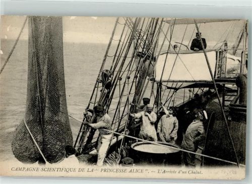 Ankunft eines Schleppnetz Campagne Scientifique de la Princesse Alice