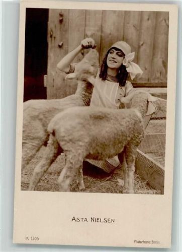Asta Nielsen Photochemie-Verlag K1305 Schafe