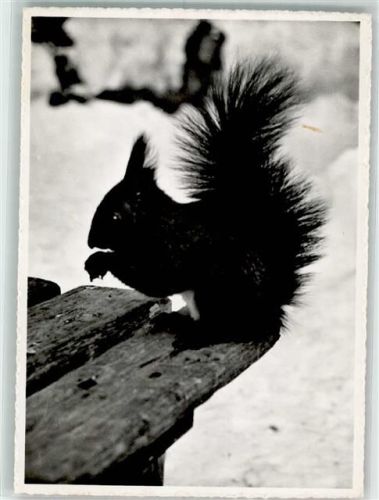 Arosa Hansi