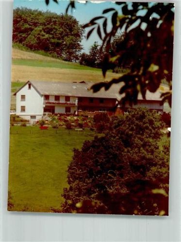 Girkhausen Foto Original aus Archiv eines Ansichtskartenverlags Pension Röttgers Hof Ort handschriftlich