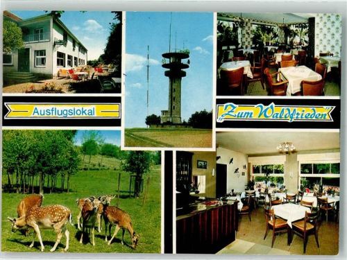 Havixbeck Gasthaus Zum Waldfrieden Damwild