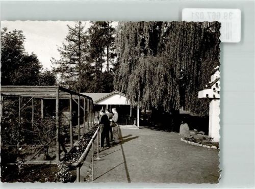 Diestedde Foto Original aus Archiv eines Ansichtskartenverlags Internat Taunenhaus Ort handschriftlich