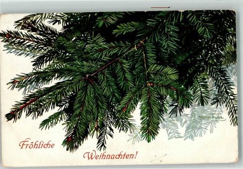 1910 Weihnachten Tannengrün Verlag Stroefer T.S.N. Serie 999