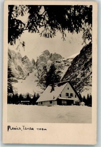 Planica 1946 Foto AK