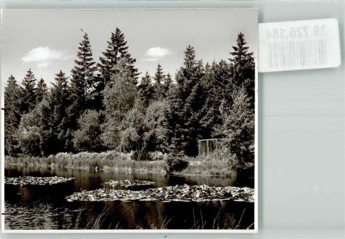 Schieder Foto Original aus Archiv eines Ansichtskartenverlags Seerosenteich Ort handschriftlich