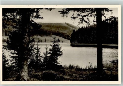 Altglashütten Windgfällweiher