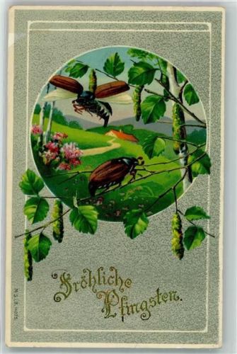 1910 Passepartout Birkenzweige Pfingsten