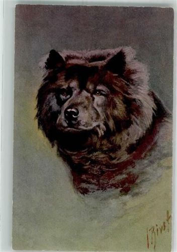 sign. Bivst Portraitmalerei eines Hundekopfes Edition Stehli No. 104