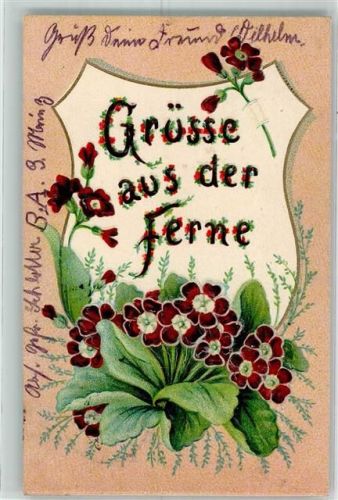 Grüße aus der Ferne Veilchen