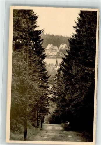 Oberbärenburg Waldblick