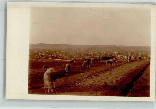 Lauf 1929 Ort handschriftlich Foto AK