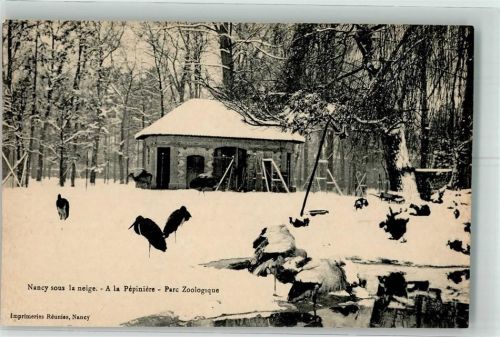 Nancy Winter Park de la Pepiniere Zoologischer Park Storch u. Schwarzstorch