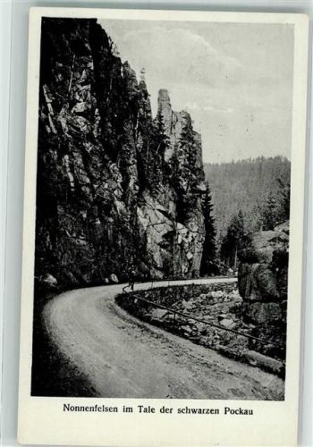 Pockau Nonnenfelsen im Tale der schwarzen Pockau