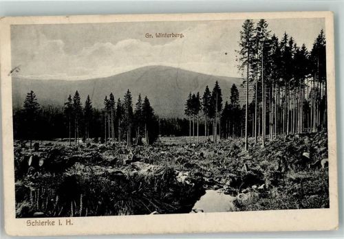 Schierke 1913 Gr. Winterberg