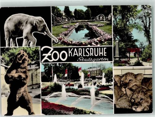 Karlsruhe Zoo Stadtgarten Elefant Bär Löwen