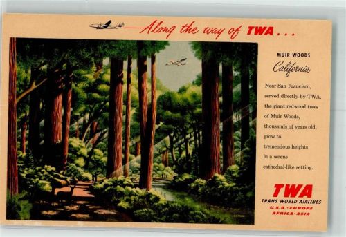 San Francisco Mamouth-Wald