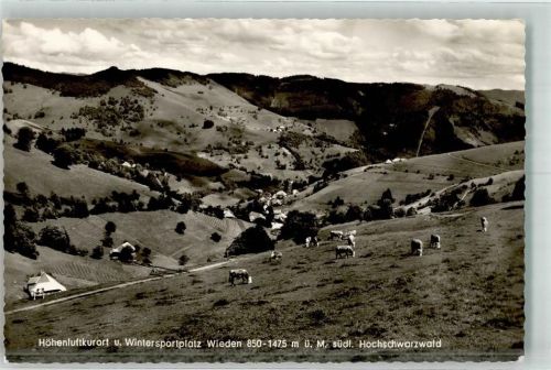 Wieden 1959