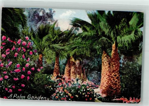 Palmen Garten