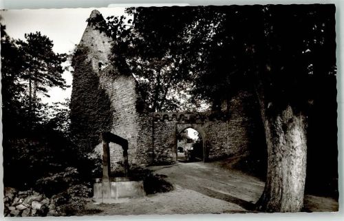 Lindenfels Burg
