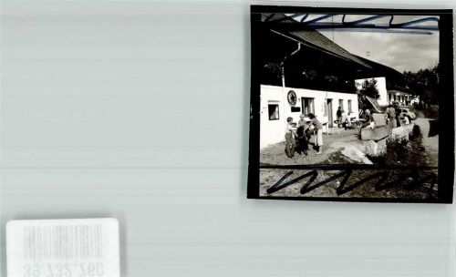 Glashütte Ferienhof Bugl mit Ponys Foto Original aus Archiv eines Ansichtskartenverlags Ort handschriftlich Striche im Bild