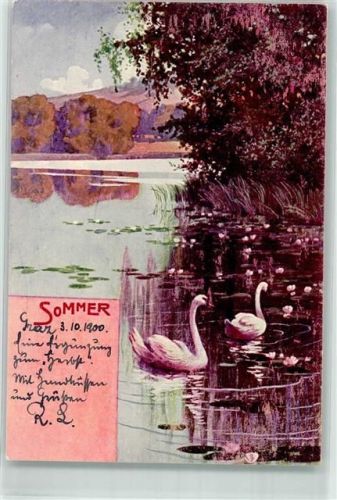 1900 Sommer Schwäne Seerosen