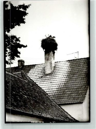 Steppach Storchennest Ort handschriftlich Foto Original aus Archiv eines Ansichtskartenverlags