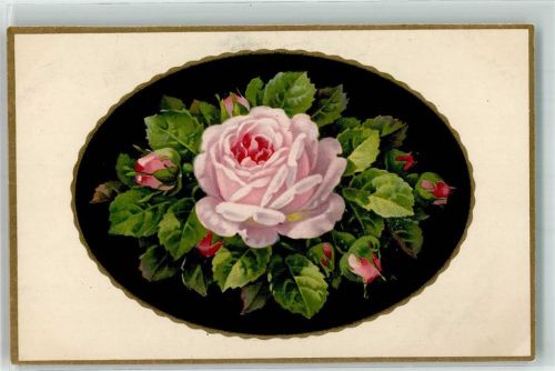 Rosen Künstler-Postkarten Serie 2282