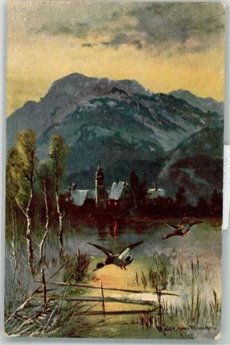 1911 Flugenten Landschaft Verlag Rehn Nr.1671