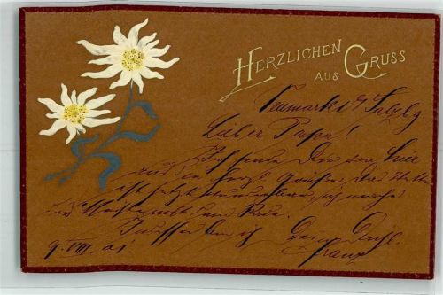 1902 Edelweiß Herzlicher Gruss Litho