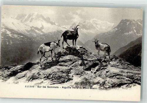 Mont-Blanc