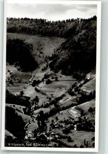 Wildgutach