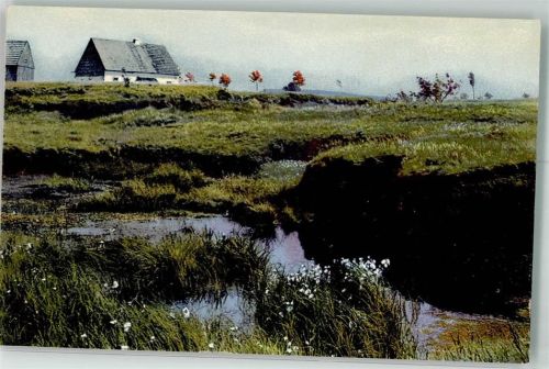 Rübenau Hochmoor