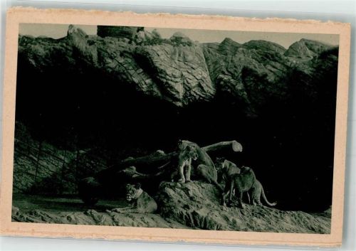 Stellingen Offene Löwenschlucht