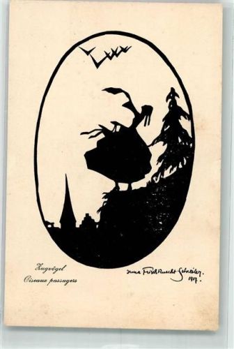 1917 Verlag Ruegg-Koch Zugvögel sign. Ruecht-Schreiber