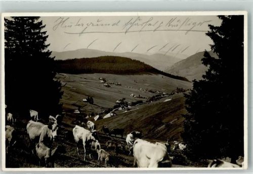 Todtnauberg