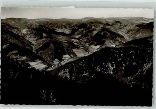 Altsimonswald Blick vom Grütt Talansicht
