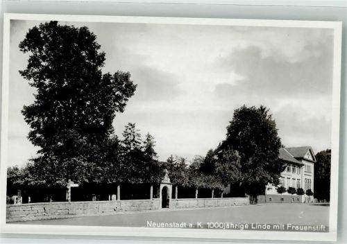 Neuenstadt 1000jährie Linde Frauenstift