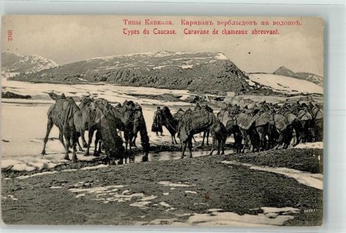 Kamelkarawane an einer Wasserstelle im Kaukasus