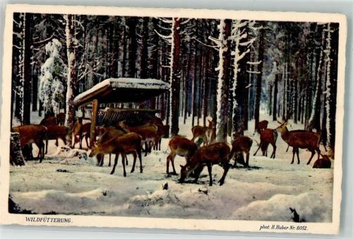 Fofo H. Huber Winter Wildfütterung Nr. 8052 Hüttenstempel