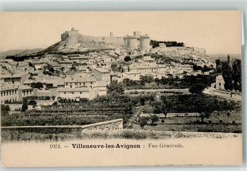 Avignon Burg