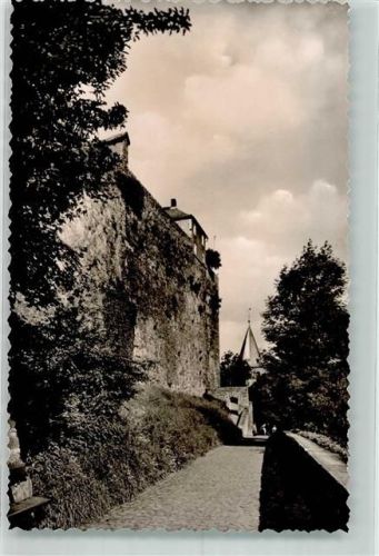 Dillenburg Burg Ruine