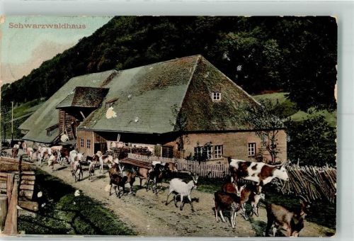 1905 Ziegentrieb auf einem Feldweg vor einem Bauernhaus