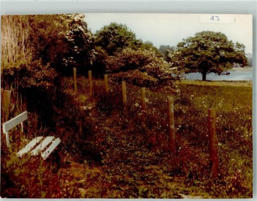 Boren Parkbank an einem Feldweg Foto Original aus Archiv eines Ansichtskartenverlags Ort handschriftlich